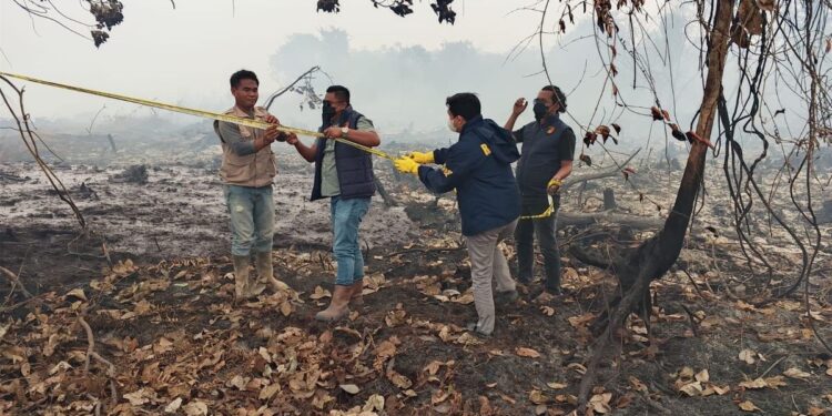 BNPB Ungkap Lahan Karhutla di Kalbar dan Kalteng Bertambah, Puluhan Ribu Personel Dikerahkan 1 BNPB Ungkap Lahan Karhutla di Kalbar dan Kalteng Bertambah, Puluhan Ribu Personel Dikerahkan