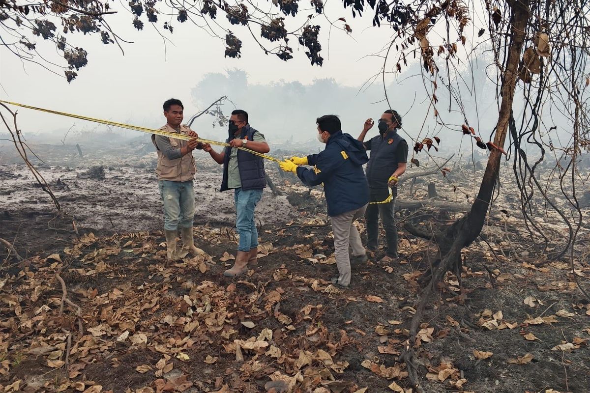 BNPB Ungkap Lahan Karhutla di Kalbar dan Kalteng Bertambah, Puluhan Ribu Personel Dikerahkan 4 BNPB Ungkap Lahan Karhutla di Kalbar dan Kalteng Bertambah, Puluhan Ribu Personel Dikerahkan