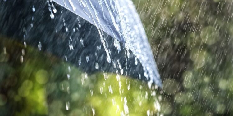 BMKG Rilis Peringatan Dini Cuaca Jabodetabek 19–21 Oktober 2026: Kabupaten Bogor Status Waspada 1 BMKG Rilis Peringatan Dini Cuaca Jabodetabek 19–21 Oktober 2026: Kabupaten Bogor Status Waspada