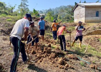 Gotong Royong Warga dan Tim Ekspedisi Patriot Perbaiki Jembatan di Mamasa
