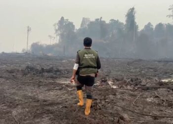 Akses Sulit dan Kekurangan Air Hambat Pemadaman Karhutla di Kalimantan, Hotspot Meningkat