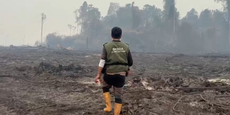 Akses Sulit dan Kekurangan Air Hambat Pemadaman Karhutla di Kalimantan, Hotspot Meningkat
