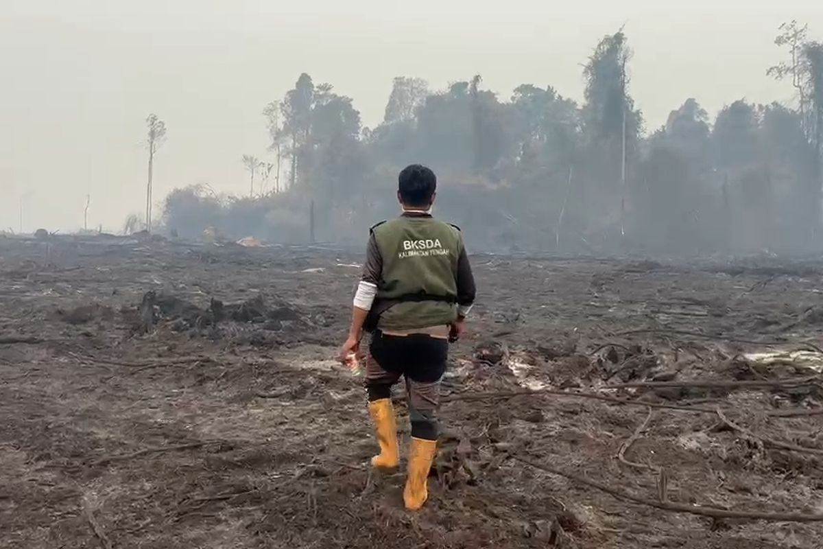 Akses Sulit dan Kekurangan Air Hambat Pemadaman Karhutla di Kalimantan, Hotspot Meningkat