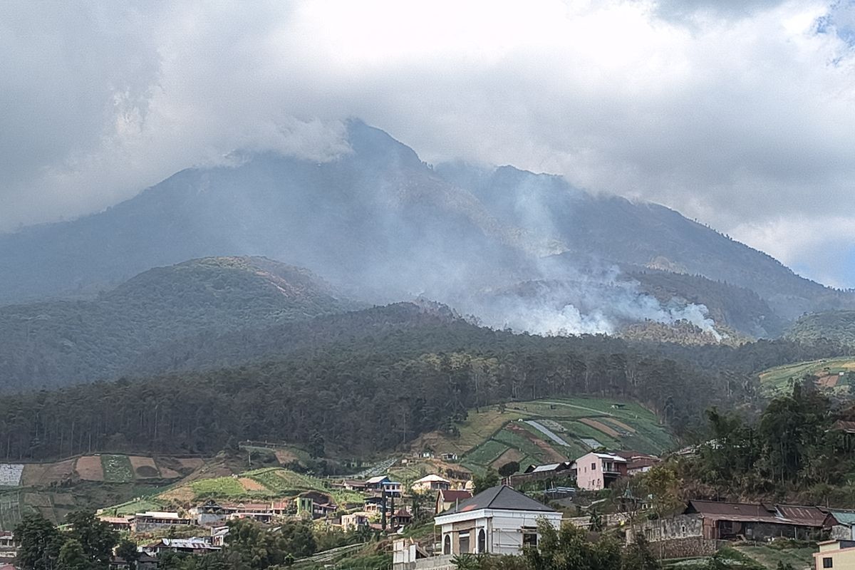 Medan Terjal hingga Kabut Asap, BNPB Ungkap Tantangan Pemadaman Karhutla Gunung Lawu