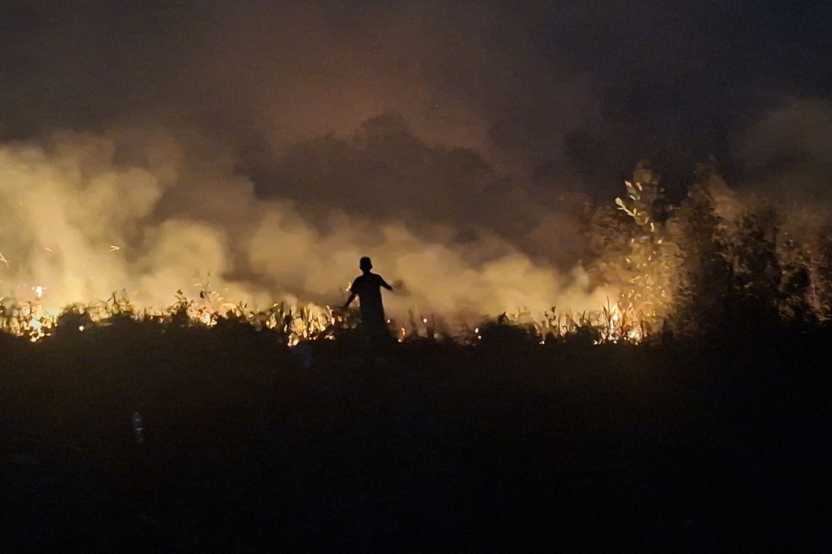 BNPB: 18.421 Hektare Lahan Karhutla di Sumatera dan Kalimantan Masih Ditangani