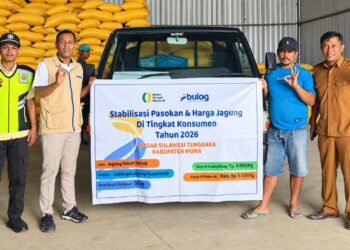 BULOG Terus Percepat Penyaluran SPHP Jagung Pakan, Pastikan Stok Nasional Mencukupi 1 BULOG Terus Percepat Penyaluran SPHP Jagung Pakan, Pastikan Stok Nasional Mencukupi