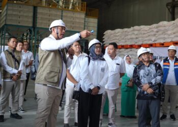 BULOG Cetak Rekor Pengadaan 4,13 Juta Ton, Jawa Timur Sumbang Hampir Seperempat Capaian Nasional