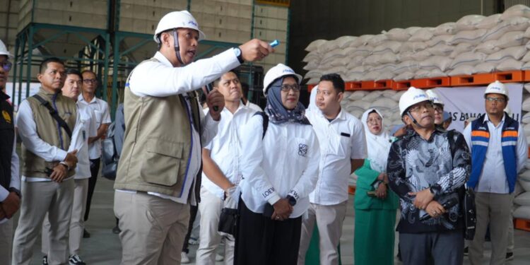 BULOG Cetak Rekor Pengadaan 4,13 Juta Ton, Jawa Timur Sumbang Hampir Seperempat Capaian Nasional