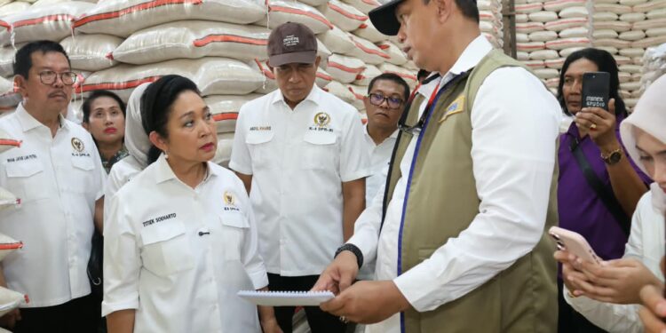 BULOG dan Komisi IV DPR RI Sidak Pasar Induk Cipinang, Stok Berlimpah dan Harga Terkendali 1 BULOG dan Komisi IV DPR RI Sidak Pasar Induk Cipinang, Stok Berlimpah dan Harga Terkendali